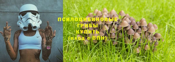 хмурый Нягань