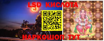 эйфоретик Бийск