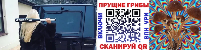 наркотики  KRAKEN вход  Псилоцибиновые грибы ЛСД  darknet какой сайт  Екатеринбург 