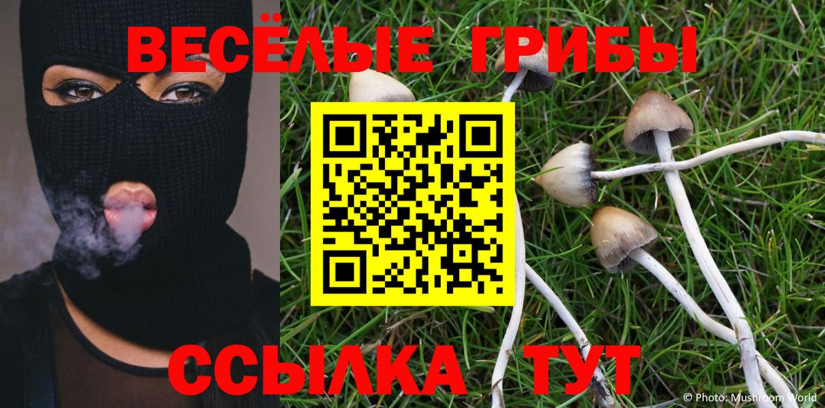 даркнет сайт  Екатеринбург  Галлюциногенные грибы прущие грибы 