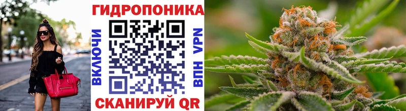 Бошки марихуана Amnesia  Екатеринбург 